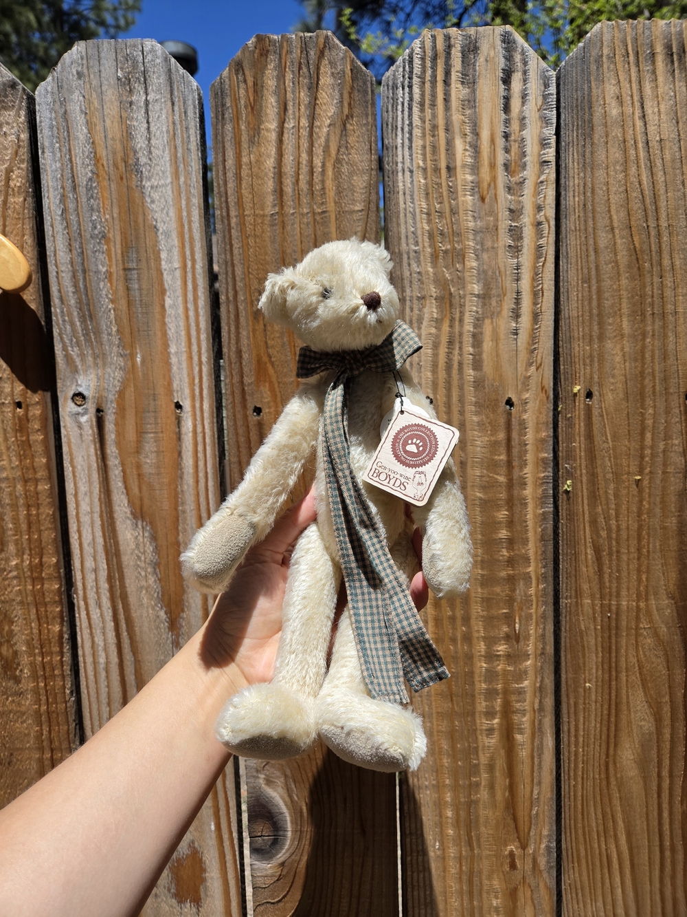 NWT Collectible Boyds Bear